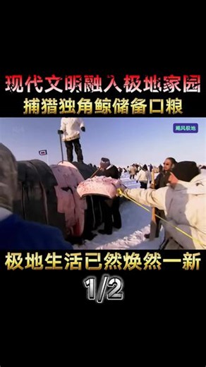 现代文明融入极地家园，捕猎独角鲸储备口粮极地生活已然焕然一新 #因纽特人#因纽特人的生活#因纽特人纪录片