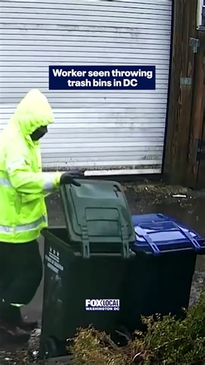 A sanitation worker was caught on camera throwing trash bins and walking away in Washington, D.C.