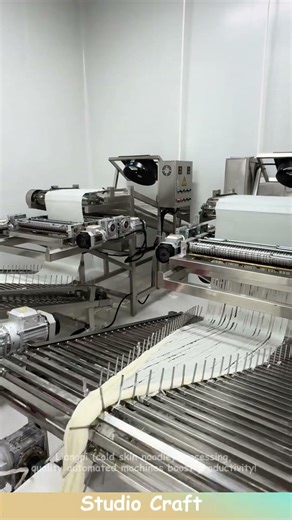 Liangpi (cold skin noodle) processing, quality automated machines boost productivity! #machine