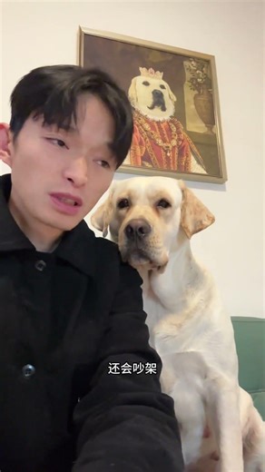 What a character! How can this dog look so human-like?