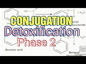 Conjugation /Biochemistry/ Metabolism of Xenobiotics #conjugation #xenobiology #biochemistry #mbbs