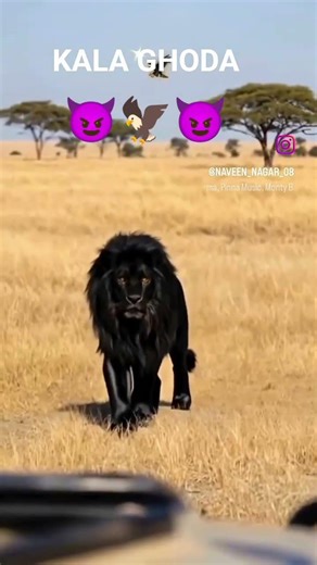 SCORPIO CLASSIC S11 MODLE 😈🦅🫵♠️😈