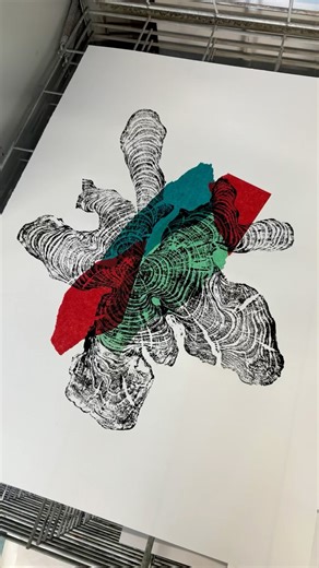 Lee Richards Illustration on Instagram: "Quick reveal video of chine collé olive tree ring print, printed last year in @swanseacollegeofart_uwtsd . This particular print ended going to Minneapolis along with another 2 chine collé prints. Planning on printing more soon. #reliefprint #printmaking #treeringprint #nature #woodworking"