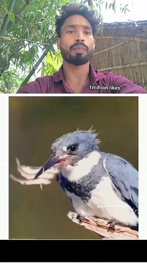 1.9M views · 20K reactions | Thankyou please fecebook my video 1million cross please fecebook #videochallenge #nasib #foryouシpage #trendingpostchallenge | Ajay Gautam | Facebook