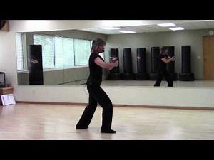 Tai Chi Long form Section 1