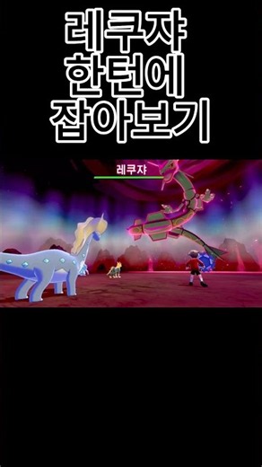 얼음 3마리에게 다굴 당하는 호연 리전폼 캐터피