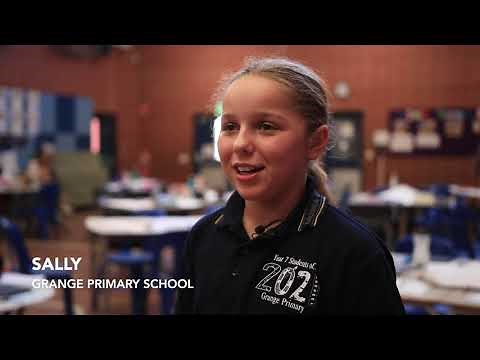 Introduction to the $20 Boss Program by Young Change Agents