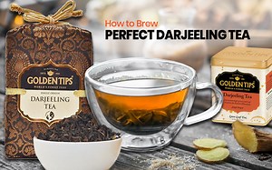 How to Make the Perfect Cup of Darjeeling Tea