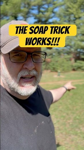 Irish Spring soap is all you need to protect your trees from deer #homestead #michigan