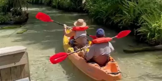 Juniper Run reopens after gator scare