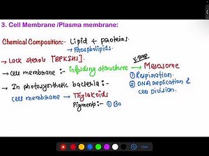 Bacteria lecture 3 for CEE medical entrance exam #cee #botany #medicalentranceexam