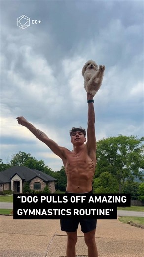 Dog Pulls Off Amazing Cheerleading Routine 🐶📣