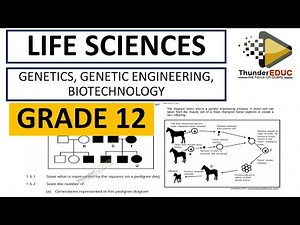 GENETICS, GENETIC ENGINEERING, BIOTECHNOLOGY, STEM CELLS. GRADE 12 SCIENCE, [THUNDEREDUC] BY M.SAIDI