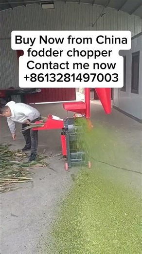 Fodder Chopper Machine | Fast Feed Cutting for Cattle, Goats & Sheep #agrifuture #machine #china