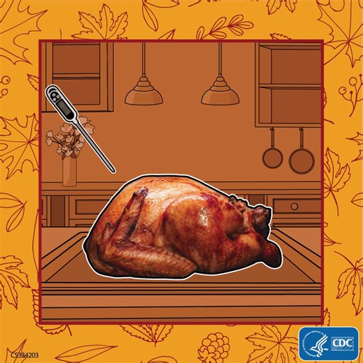 Planning for #turkey on your #Thanksgiving table? You’ll know that your turkey has finished cooking when a minimum internal temperature of 165°F is reached. Use a food thermometer to check. 🌡️🍗 You can learn more about #CookingSafely for Thanksgiving at https://ow.ly/bjEI50XvYpJ | Virginia Department of Health