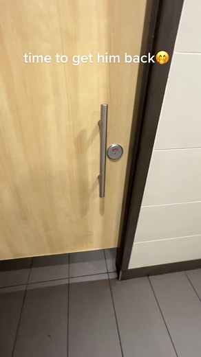 Restroom Door Handle Interaction: A Short Clip