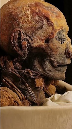 The Mummy of Queen Hatshepsut #history #museum #ancientegypt #egypt #shorts