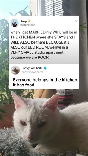 Studio Apartment Reality Check