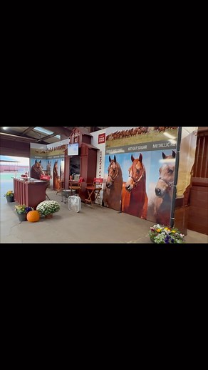 34K views · 590 reactions | Welcome to the Stud Barn! We can’t wait to have you at the Stallion Open House today! Come visit with Stallion Manager Eric Van Reet and stallion owners and take advantage of all the sale specials on 2024 breedings. #6666Ranch #returntotheremuda #Open House #6666Stallions #bredtowin #sirepower | 6666 Ranch | Facebook