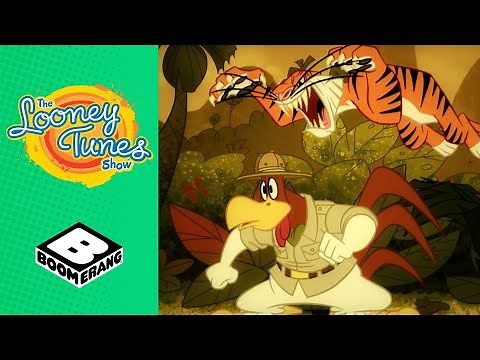 Foghorn Crazy Song | Looney Tunes | Boomerang UK
