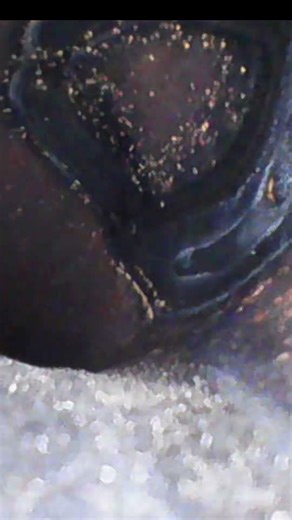 Rahmen-Check: Wo bleibt der Rost?!