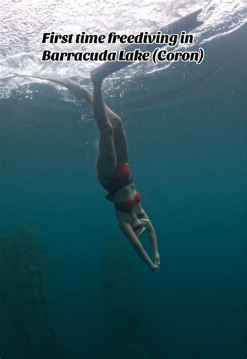 First-Time Freediving Experience in Coron