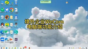 境外企业WeCom电脑端功能介绍