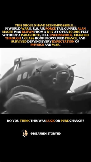 A Pilot Survived A 20,000-Foot Fall #history #ww2