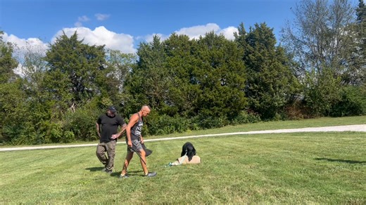 6.8K views · 316 reactions | Thanks to my buddy Mohawk John, Dante got to have a little fun today doing what he loves. First time since the accident. Now we will start to clean things up and maybe get him on the field | Larry Krohn | Facebook