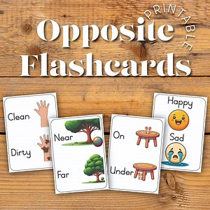 Printable, Opposites Flash Cards, Preschool Learning Resource, Toddler Vocabulary Builder, Educational, Digital Download - Etsy