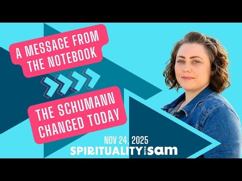 Message from the Notebook: Schumann Changed on 11/24/2025