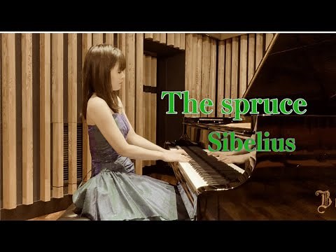 シベリウス作曲「もみの木」