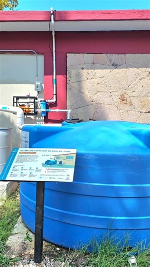 Conselva Costas y Comunidades on Instagram: "Conoce cómo funciona el Sistema de Captación de Agua de Lluvia (SCALL) que instalamos en @cbtis051, como una medida para impulsar Soluciones basadas en la Naturaleza (SbN) para la adaptación al cambio climático en la ciudad, especialmente en temas de desabasto de agua e inundaciones. Recuerda: Agua retenida, Ciudad protegida. ¡Cada gota de agua que se colecta o absorbe es una gota menos que llega a las calles!"