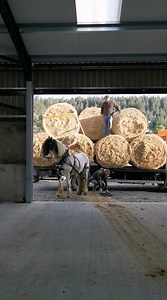 288K views · 2.7K reactions | "don't think he is used to working with...