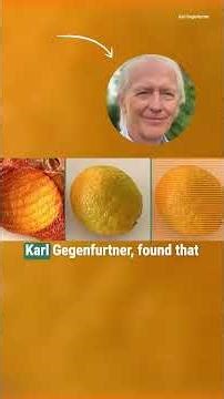 Ever wondered WHY some fruit and veg come in coloured nets?