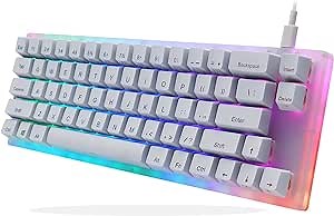 Womier K66 60% Mechanical Keyboard, Hot Swappable Wired RGB Backlit Keyboard, Gateron Switch Acrylic Gaming Keyboard for PC PS4 Xbox, Brown Switches