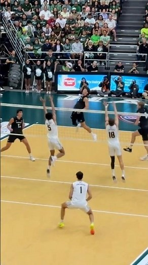 University of Hawaii Volleyball Highlights