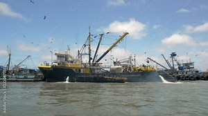 Industrial fishing in South America