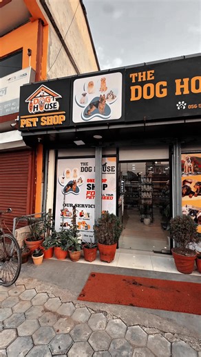 Explore Our Pet Shop: Every Pet is Family