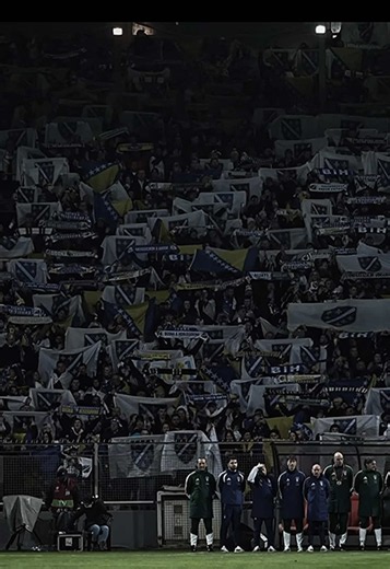 Tarik Muharemovic Bosnia World Cup highlights