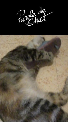 Problème de téléphone au travail