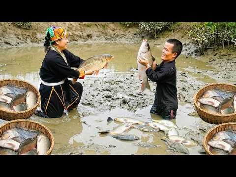 Dwarf Family Harvests a Huge Catch from the Mud Pond and Heads to Market to Sell Fresh Fish