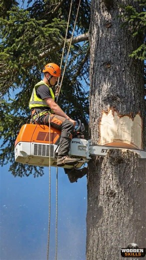 Lo que nadie te cuenta de usar una MOTOSIERRA STIHL gigante 😱 #arborist #treeremoval #chainsaw