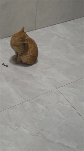 bsbjsj (@bsbjsj164)’s videos with original sound - Open Your Eyes......🙂