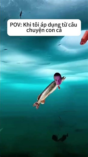 Câu Chuyện Con Cá !!! #shorts #mellstroy #memes