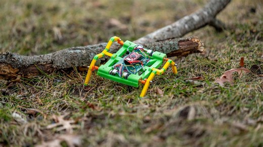 3D-printed robot swarm could help in landmine clearance, rescue ops