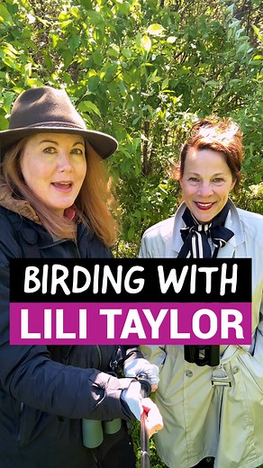 Lili Taylor on Birding: Turning to Birds and Kindness