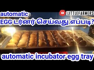 Automatic egg turner| automatic incubator|littlefarmers|easy method