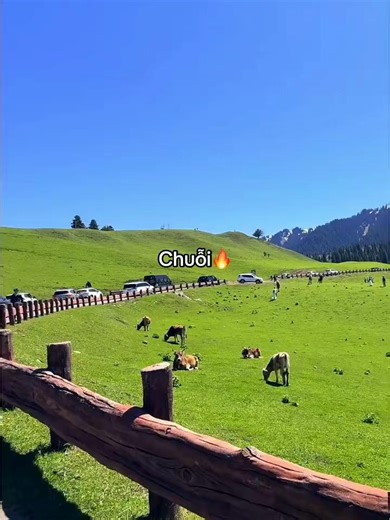 Chuỗi firework 2026 mừng năm mới