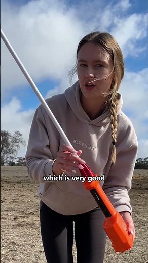 Control Stubborn Cattle Safely with This Powerful Rechargeable Prodder